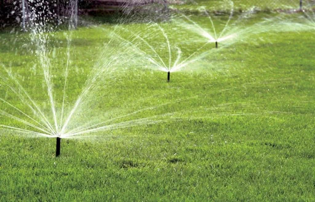 96ddbed3 E9bf 4a69 A2f2 Bb3525cadb54 1